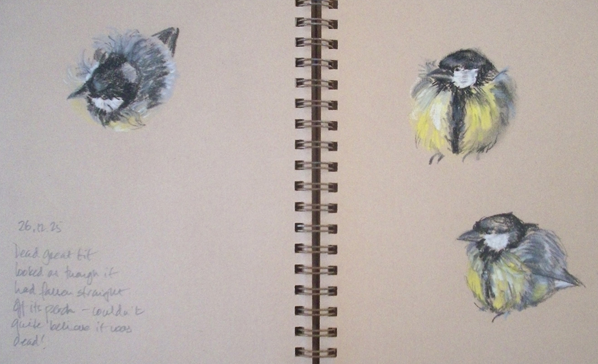 Kate Whapham tweet media