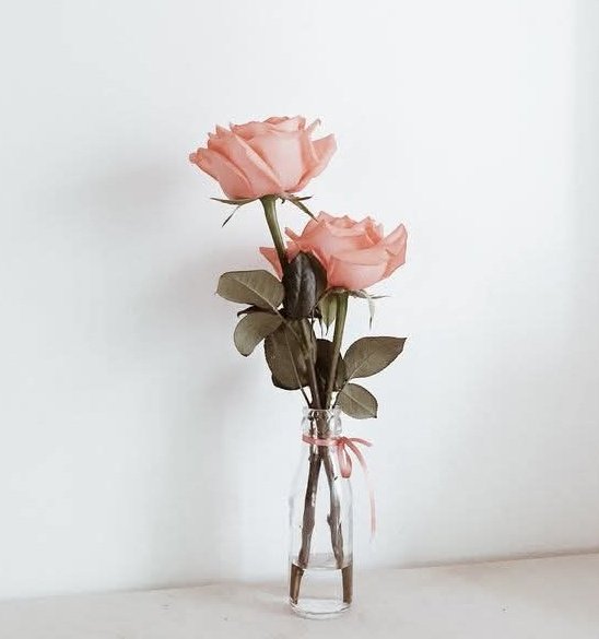 Abrish Rajput tweet media