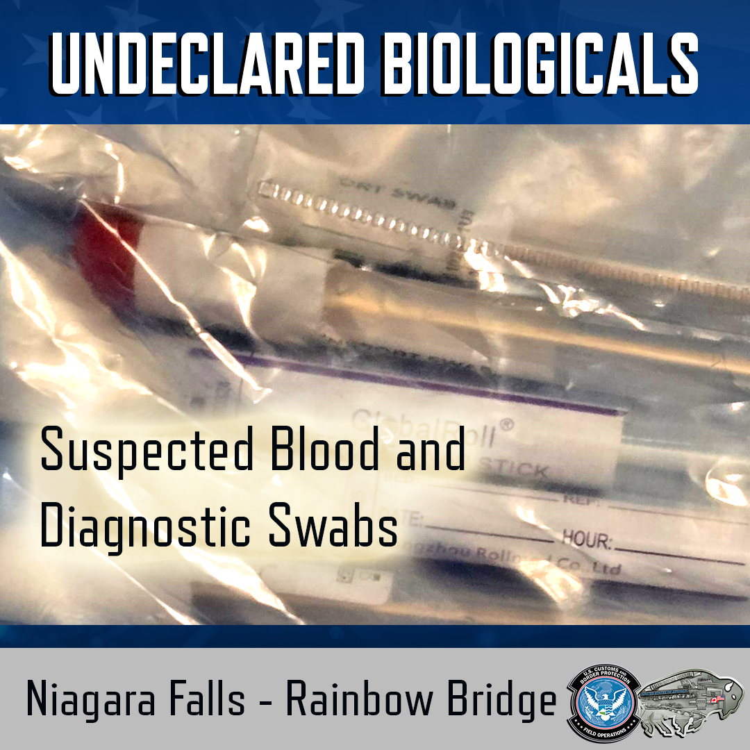 Buffalo DFO Rose Brophy tweet media