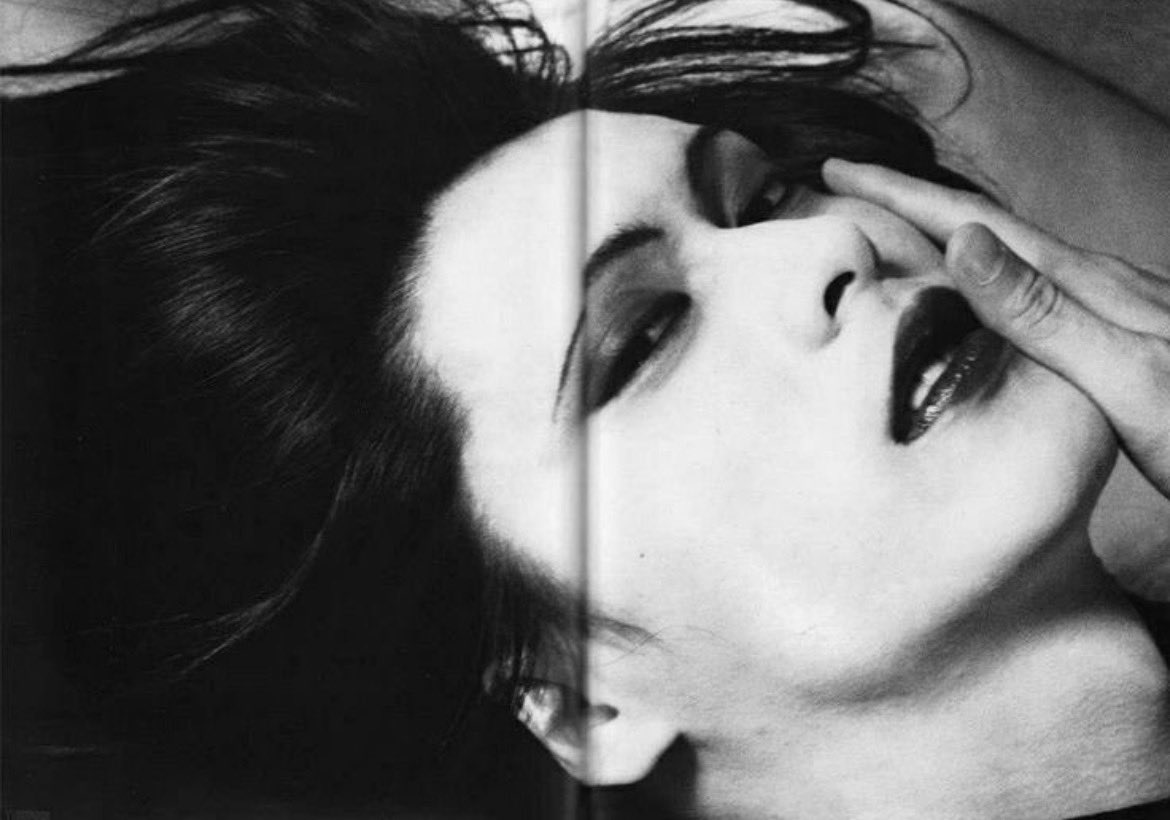 주도씨 tweet media