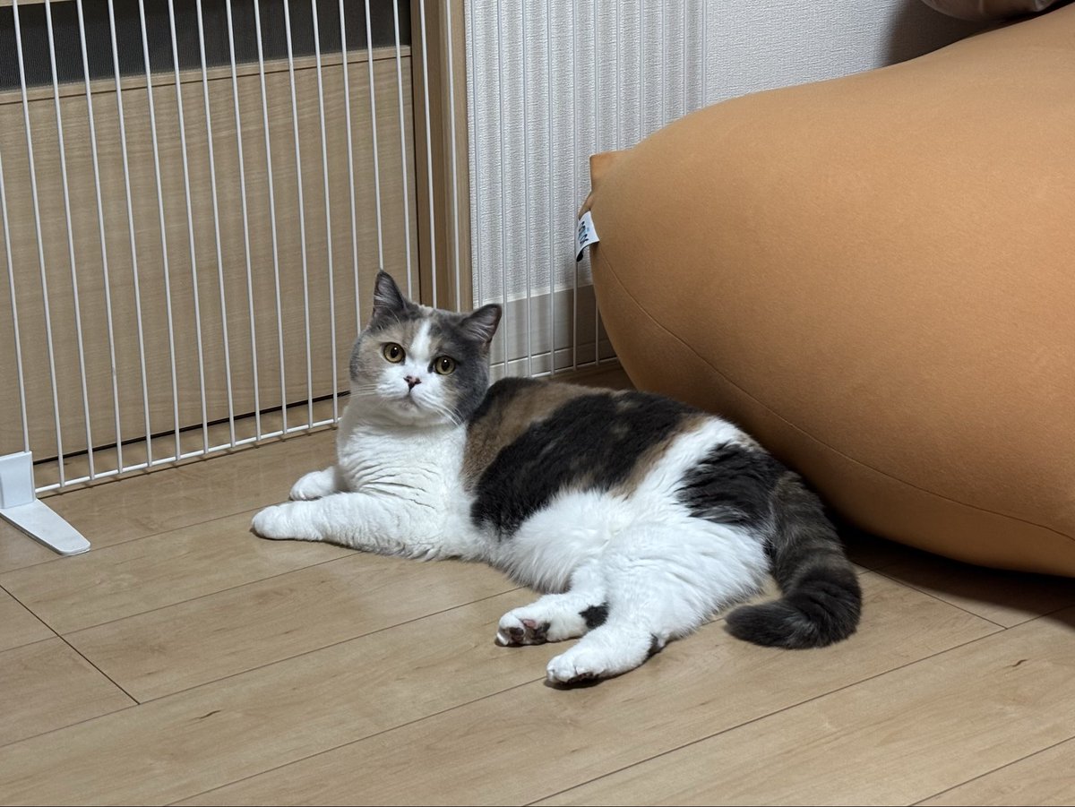 uuu-suke tweet media