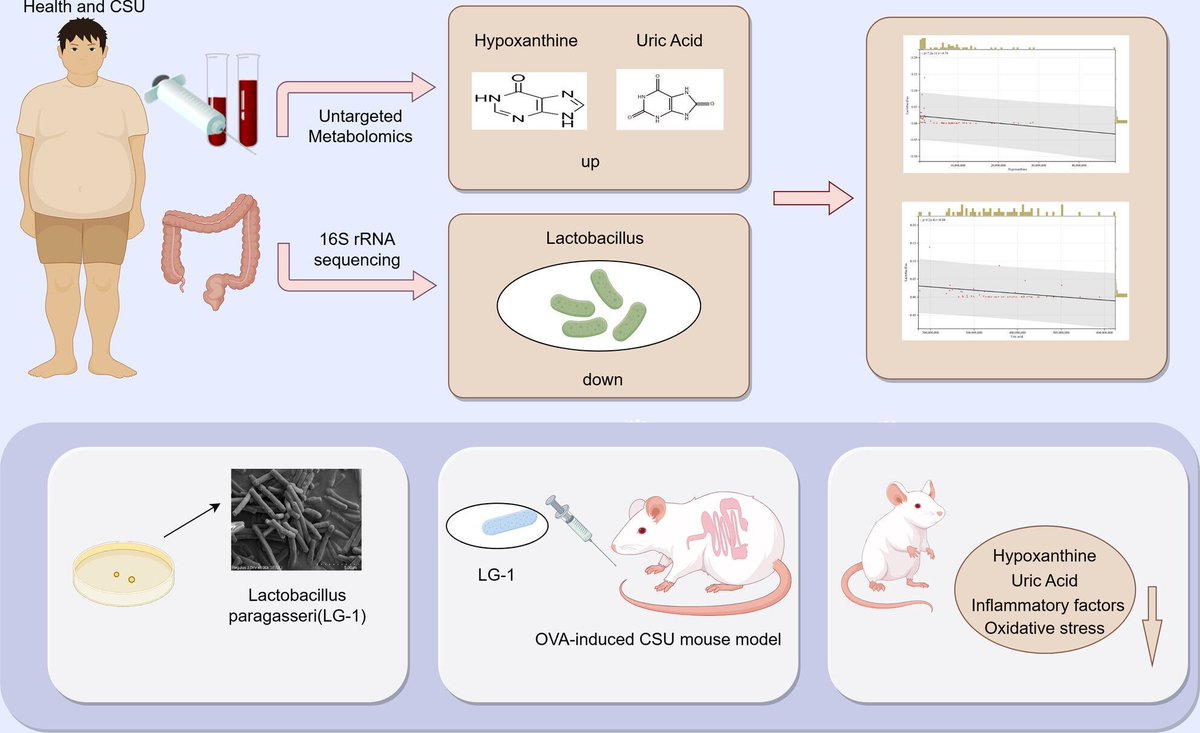 Microbial Biotechnology (MBT) tweet media