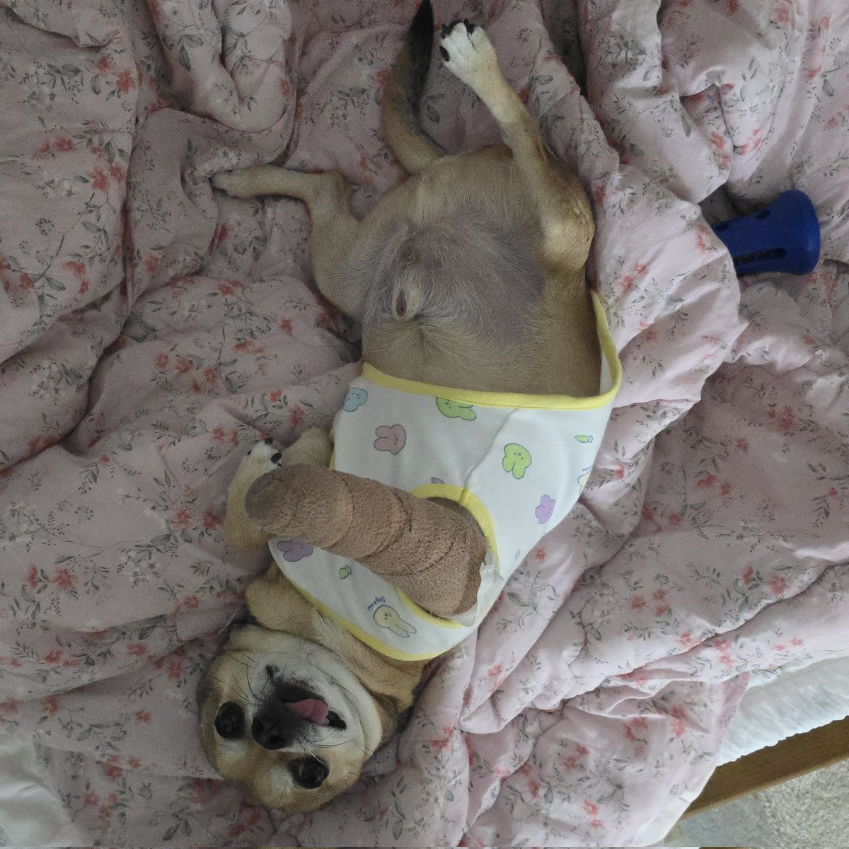 별찌☄️ tweet media