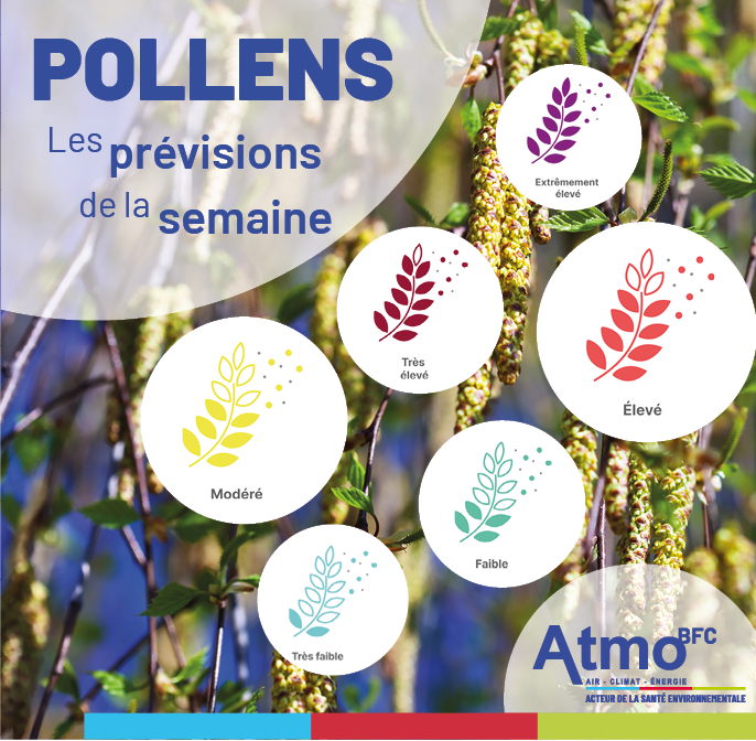 Atmo BFC tweet media