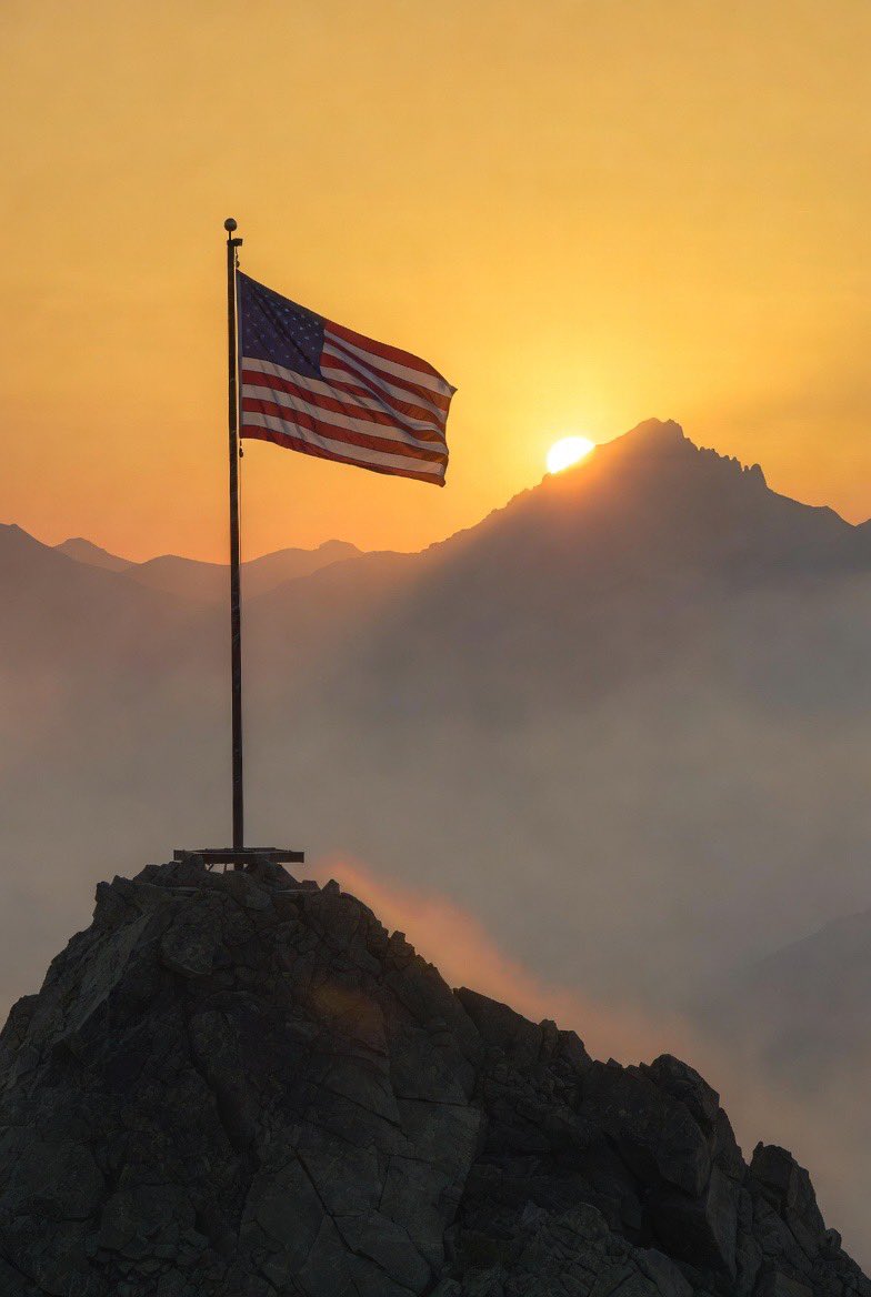 Chris 𝕏 tweet media