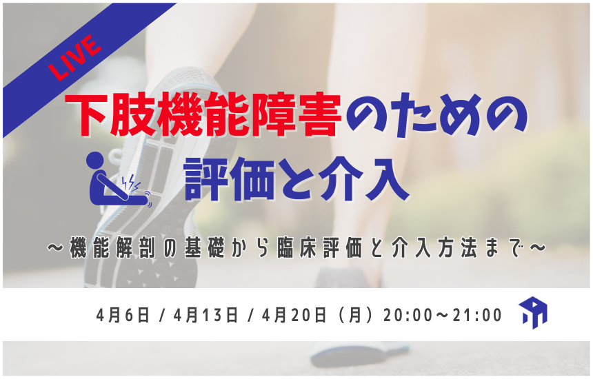 RehaCollege's tweet photo. 学生時代に「暗記した解剖学」を
「生きた知識」にアップデートしませんか？

『下肢機能障害のための評価と介入』
募集開始しました！
https://t.co/47EiJMMcVF https://t.co/t2rvfFo5B0