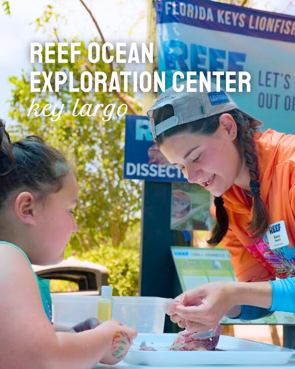 The Florida Keys & Key West tweet media