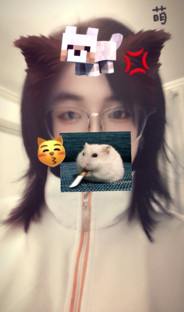 North Star tweet media