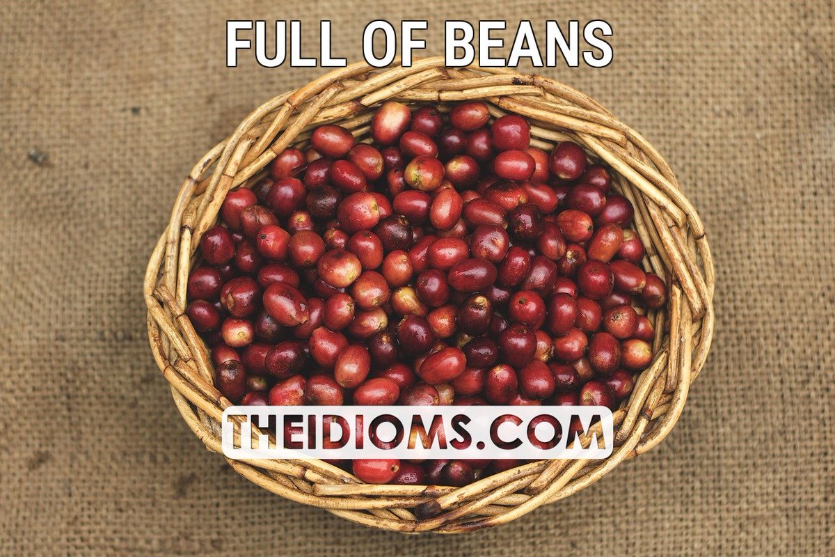 theidioms's tweet image. FULL OF BEANS: Meaning: to have a lot of energy and enthusiasm.

Example: I've never known anyone be so full of beans before breakfast.

 Read more: theidioms.com/full-of-beans/

 #fullofbeans #idioms #englishidioms #idiomsandphrases #phrasalverbs… theidioms.com