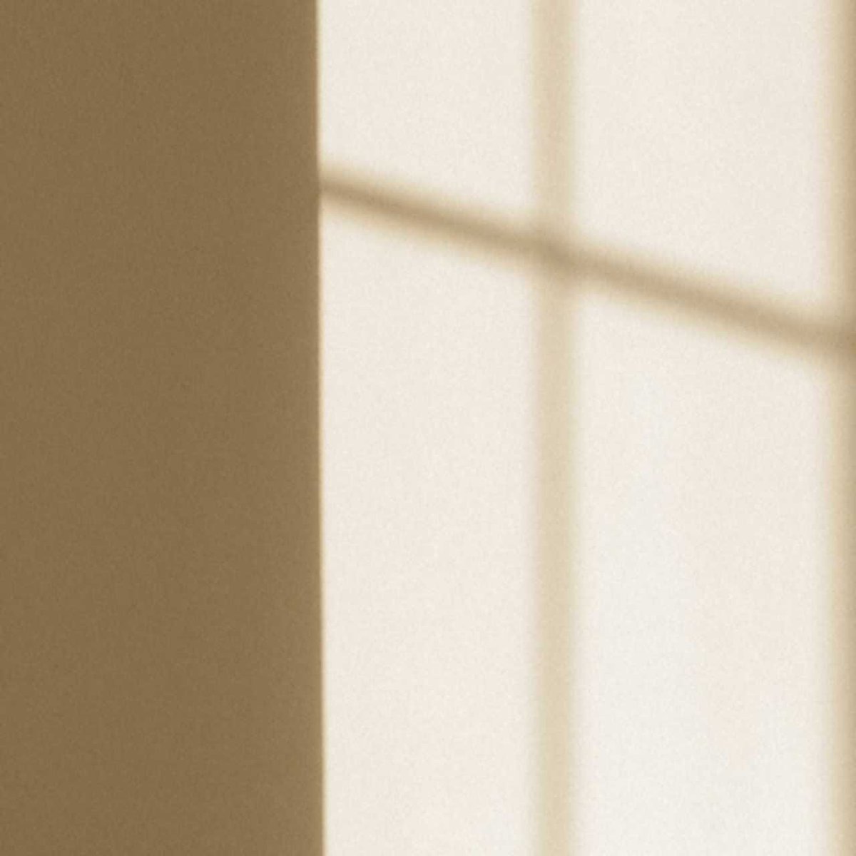 Barnabas Collins 🐔 tweet media