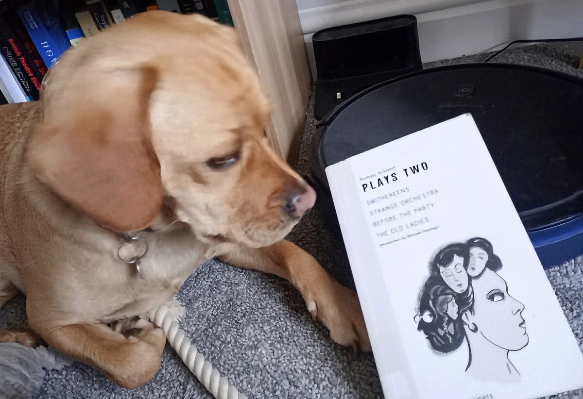 The Old Ladies Finborough Theatre tweet media