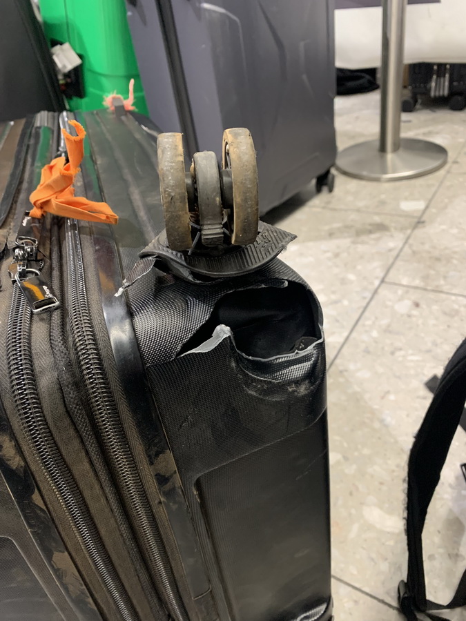 davidxgreen tweet media