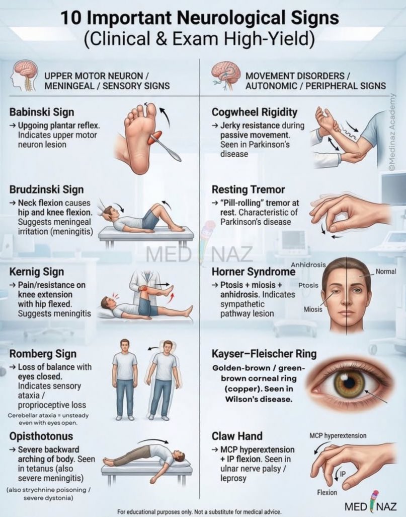 Nurse Hann tweet media