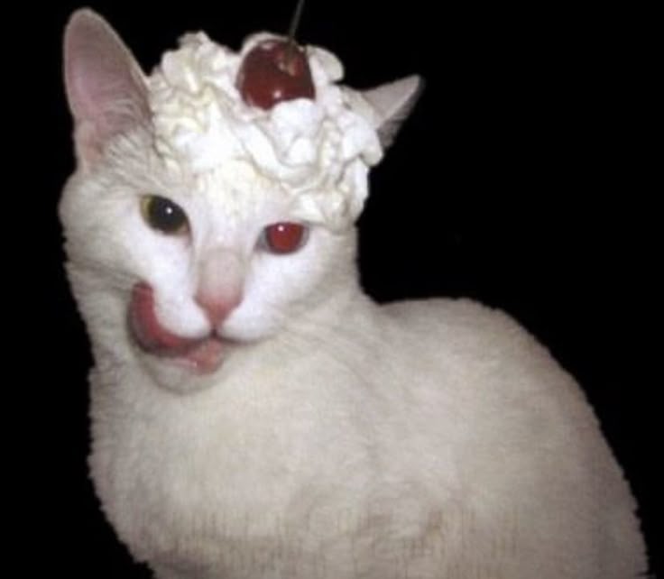 Luno 🪷 tweet media