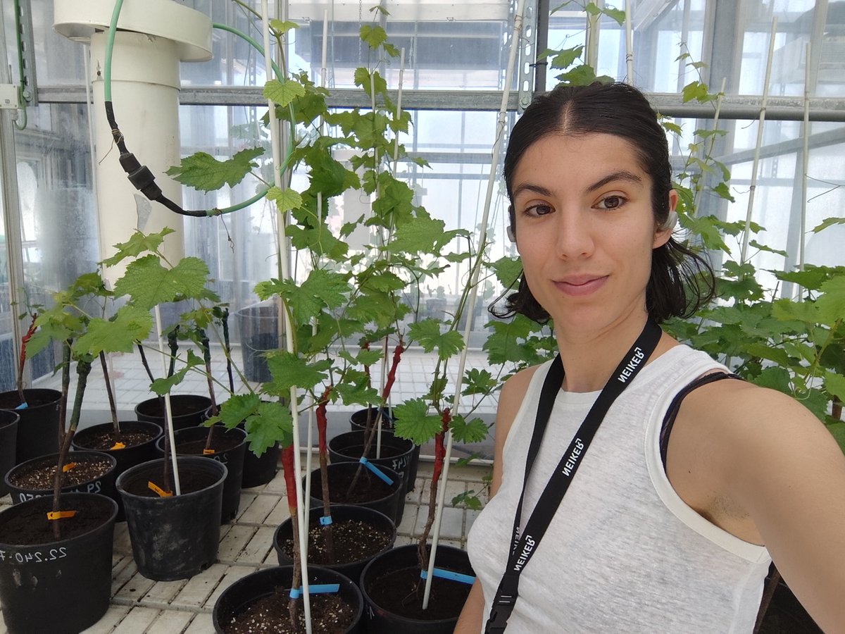 FunGIA_Lab 🔬🍄🍺🍷♻️ tweet media