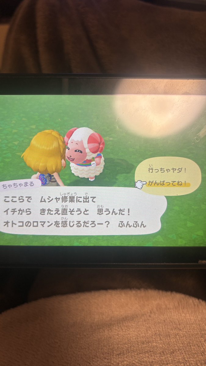 3Pwiv's tweet photo. ちゃちゃまるが引っ越します！！
引き取ってくださる方いますか？？
1時間以内に取引いなかったら消します！
 #あつ森無償の輪 #あつ森住民譲渡 https://t.co/pUEVlxL3US