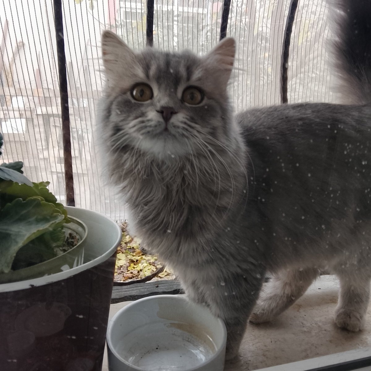 luna🍒 #boykot tweet media