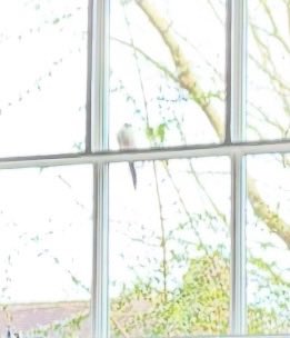 Jane Fallon tweet media