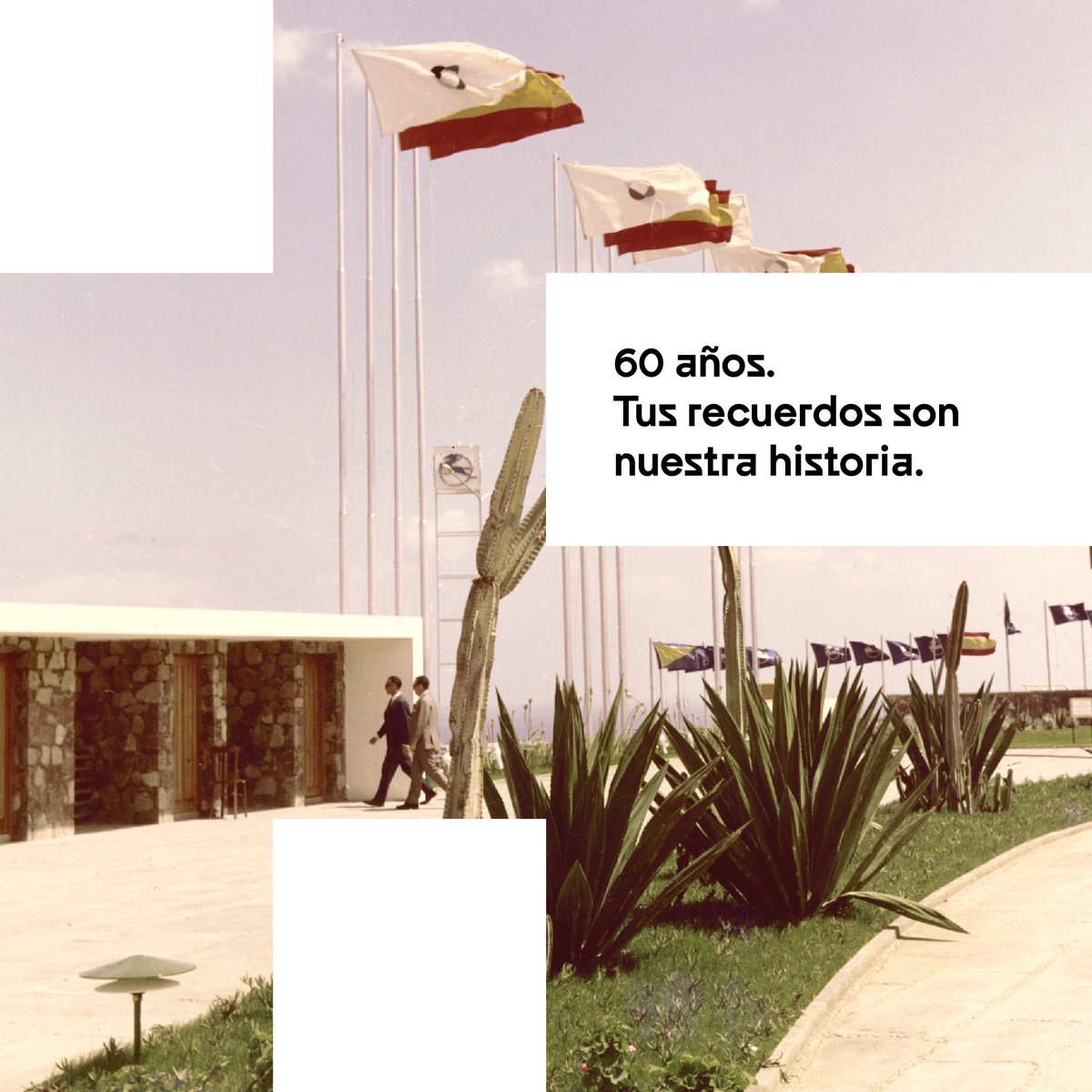 Infecar Feria de Gran Canaria tweet media