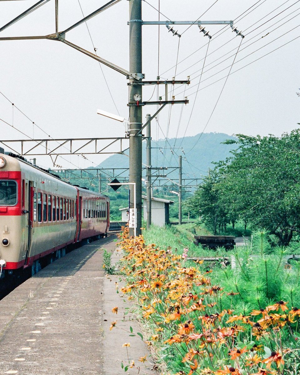 teru_t2's tweet photo. #新疋田駅 今昔→今の画像はチャッピーで春の里山風に https://t.co/xAC52smxtG