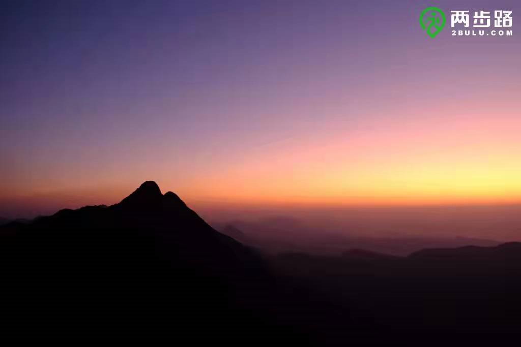 Brandi Leigh tweet media