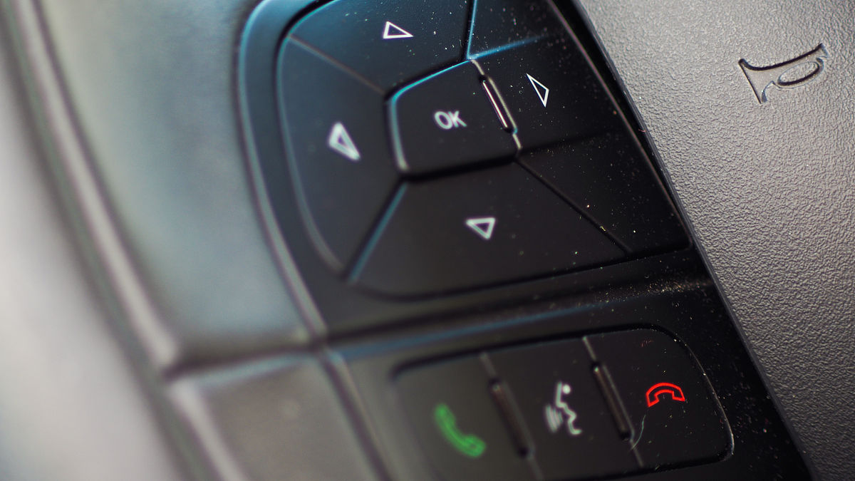 Helena Ferraz tweet media