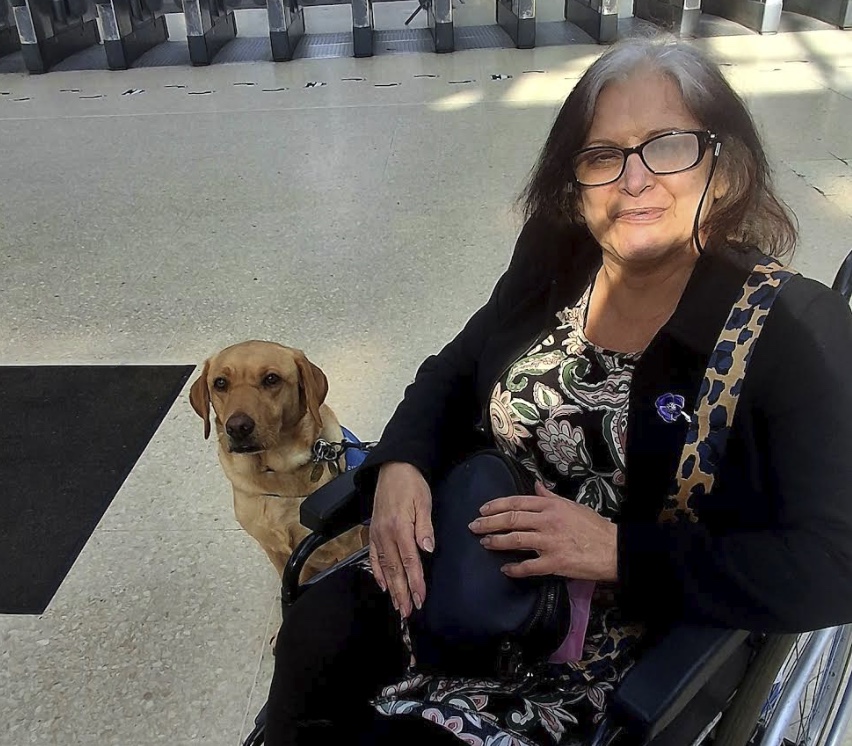 Pets Magazine tweet media