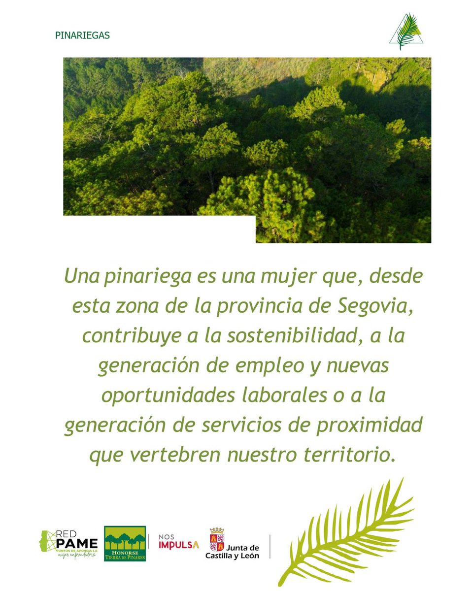 HonorseTierraPinares tweet media