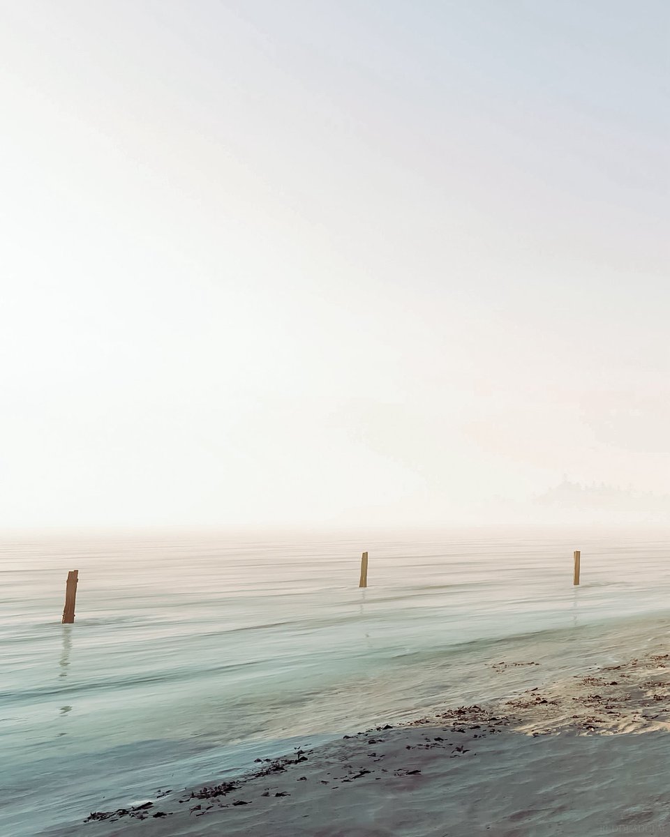 reddeadgem tweet media