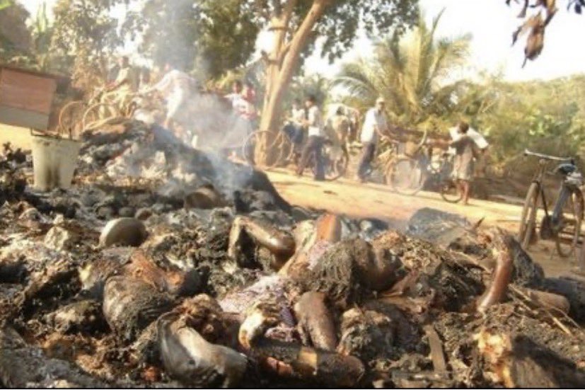 sabas_kris0712's tweet photo. Same as dropped by Srilanka Airforce against Tamil People in Vallipunam  Mullithivu, Tamilellam . Israel kaffer jets drops, isral made Phosphorus Bombs
#Justice4Tamils_Genocide https://t.co/QN0Hlw3eTc