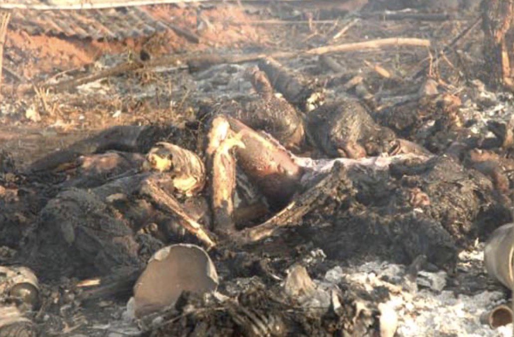 sabas_kris0712's tweet photo. Same as dropped by Srilanka Airforce against Tamil People in Vallipunam  Mullithivu, Tamilellam . Israel kaffer jets drops, isral made Phosphorus Bombs
#Justice4Tamils_Genocide https://t.co/QN0Hlw3eTc