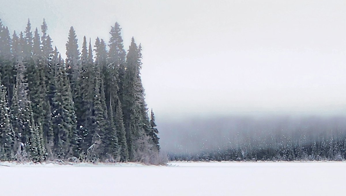 dave🏴 tweet media