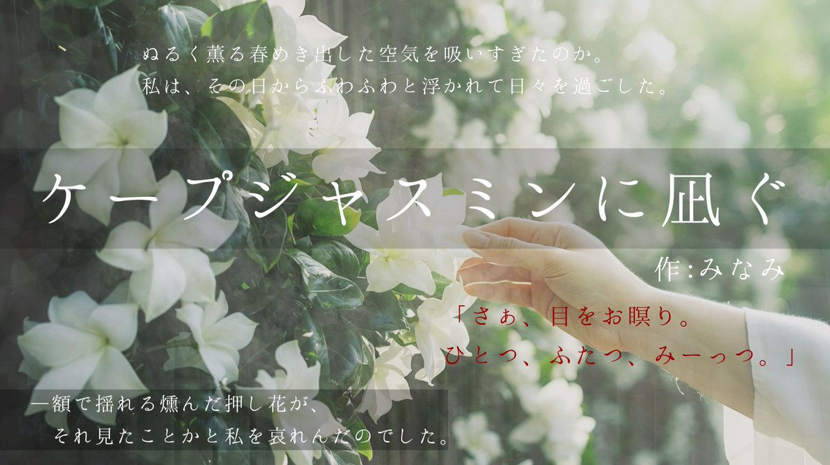 みなみ@Calla lily tweet media