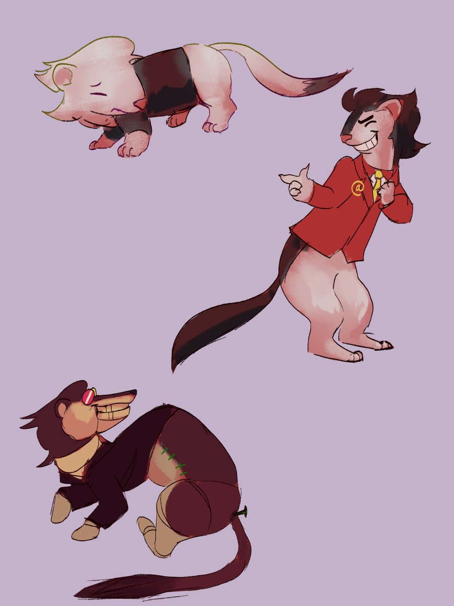 Dubu Jan tweet media