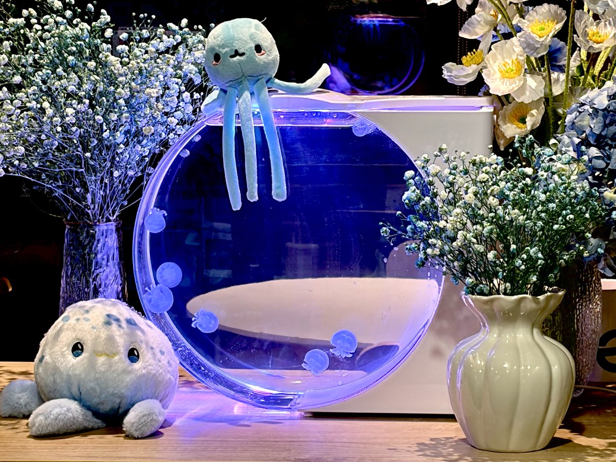 AirJelly tweet media