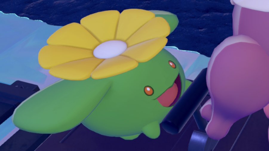 ゆあち tweet media