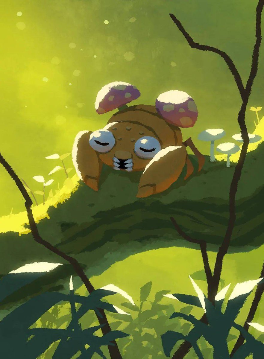 May Aisha tweet media