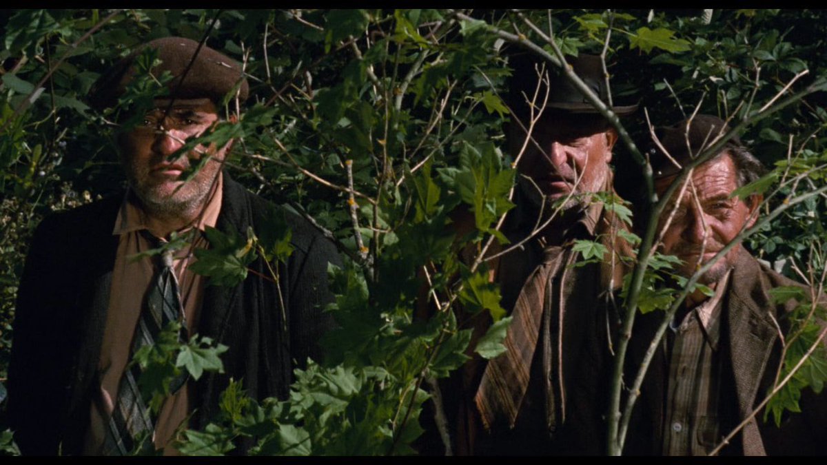 Werner Herzog's missing shoe tweet media