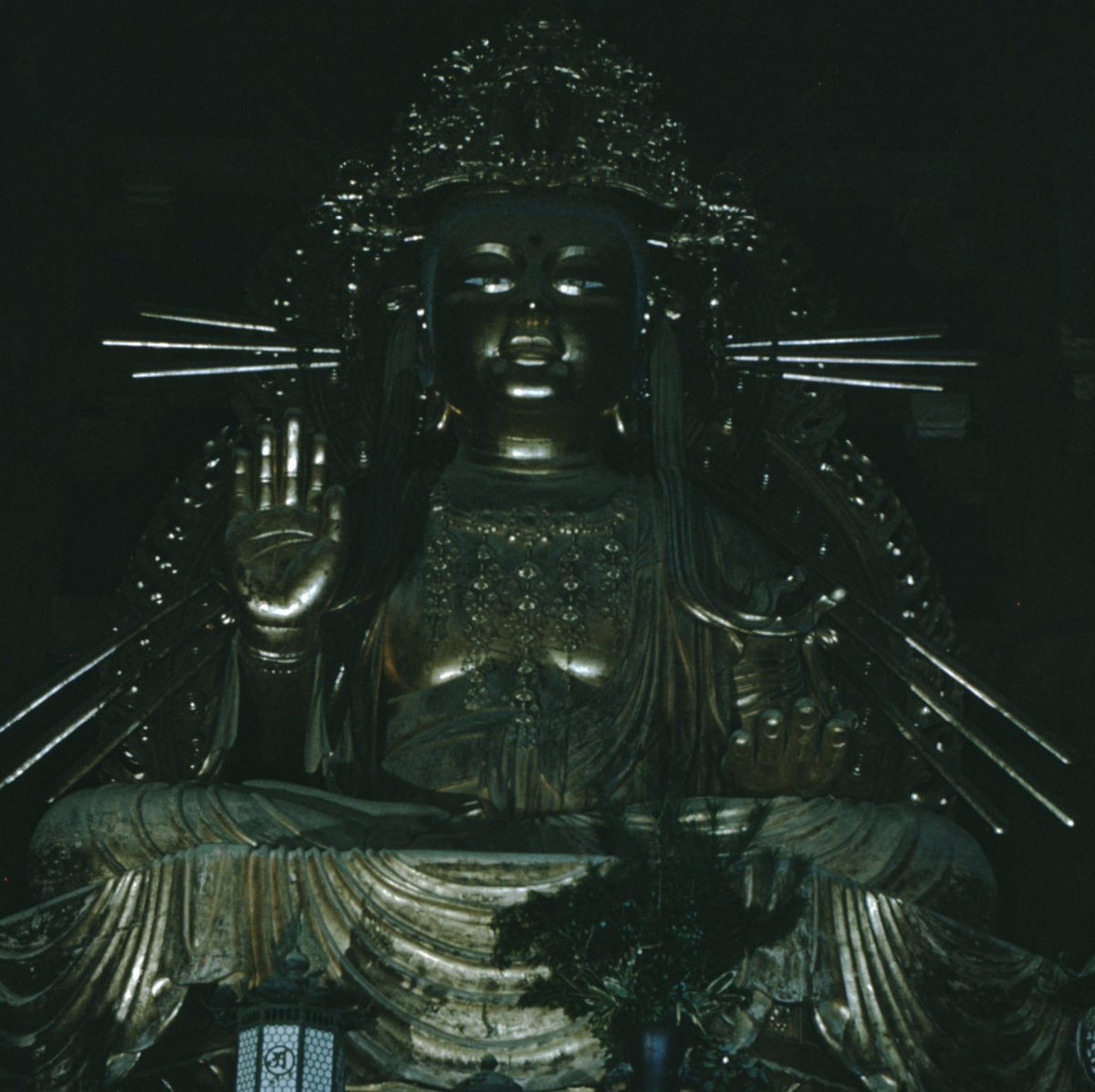 ʇsodɯoɔ tweet media