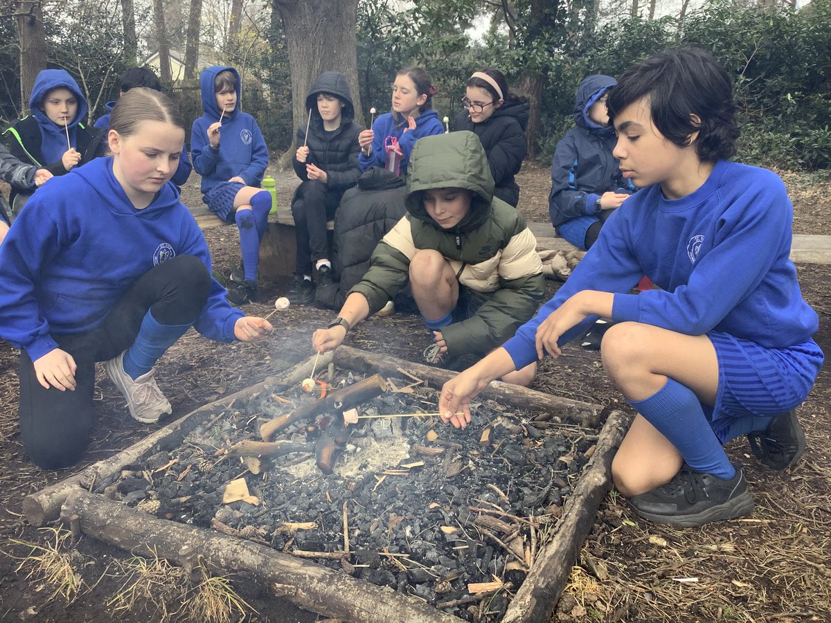 Year 6 tweet media