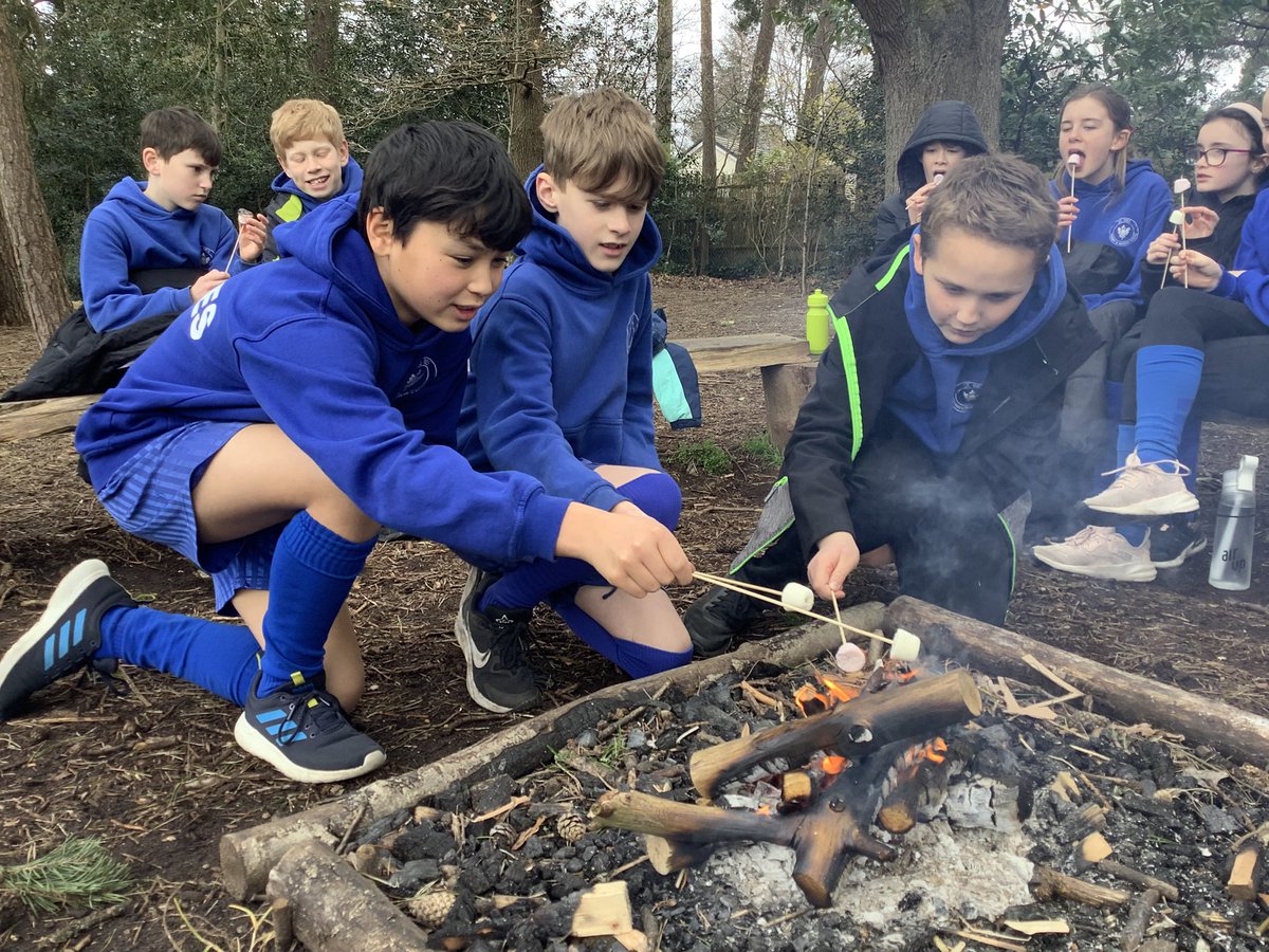 Year 6 tweet media