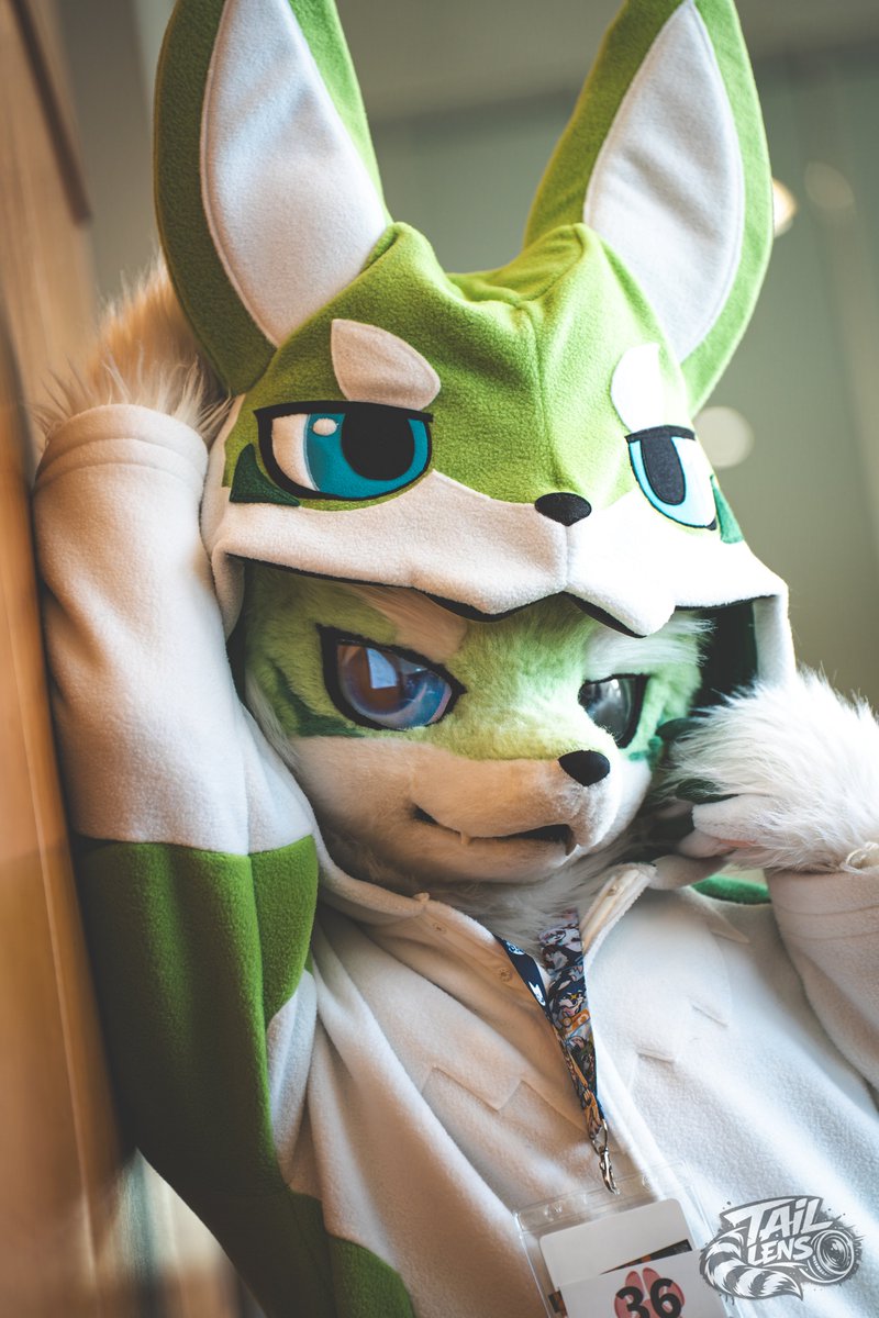 TailLens(テイルレンズ)🦝📸▶けものえん2 tweet media