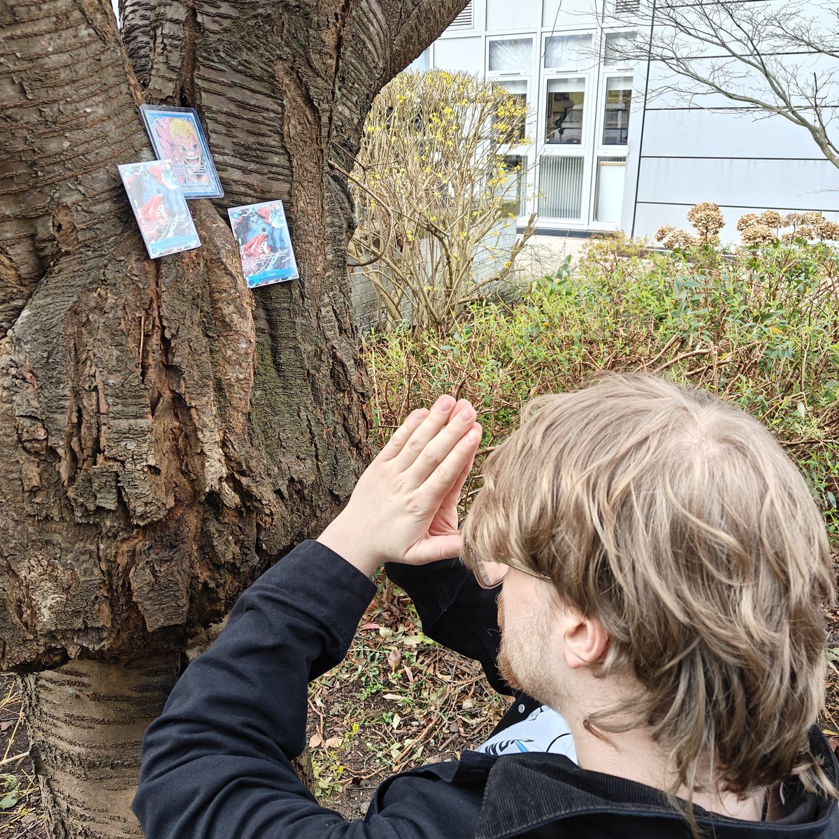 yung_mlody tweet media