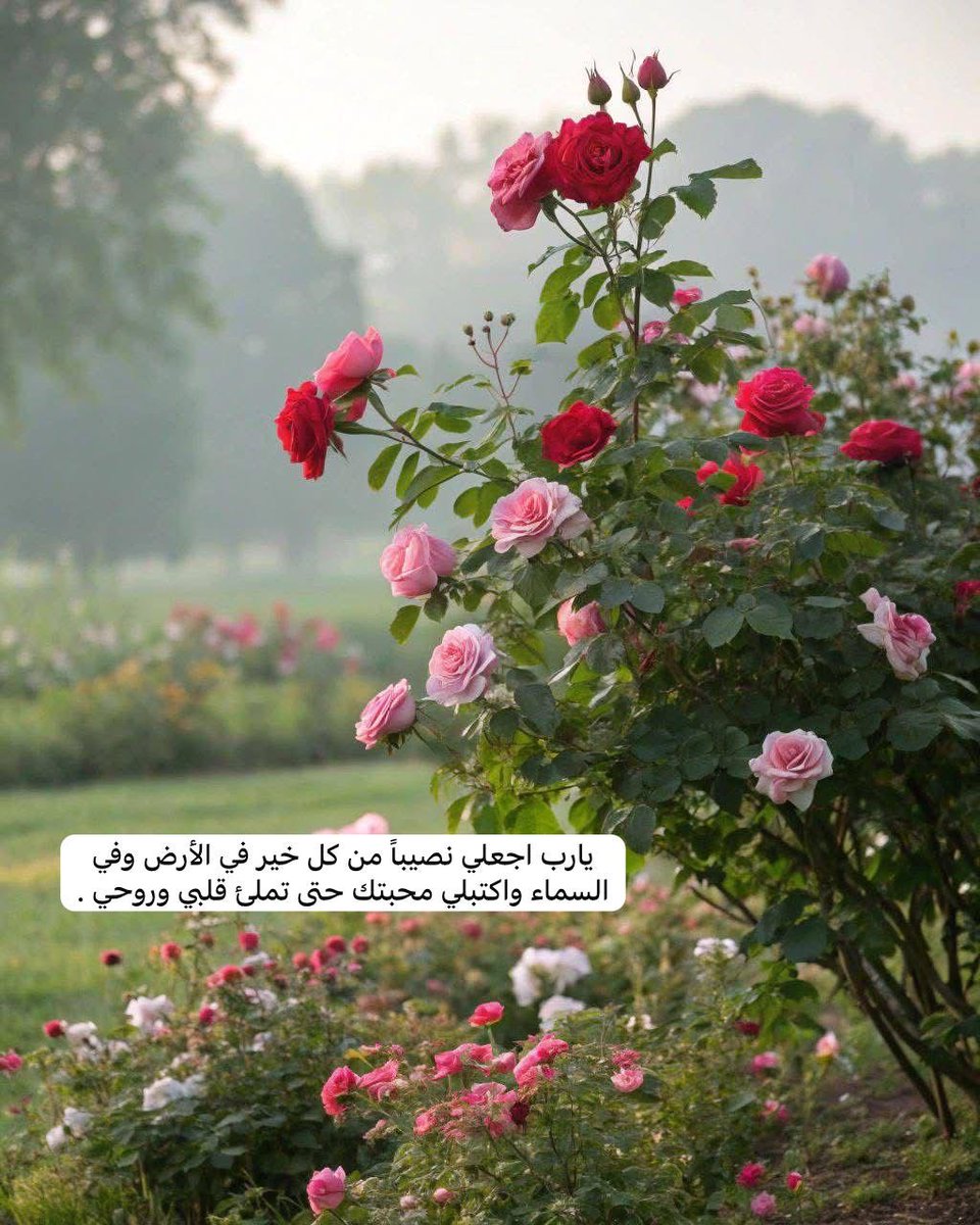 O2_3D1's tweet photo. https://t.co/cMtldbJzfj