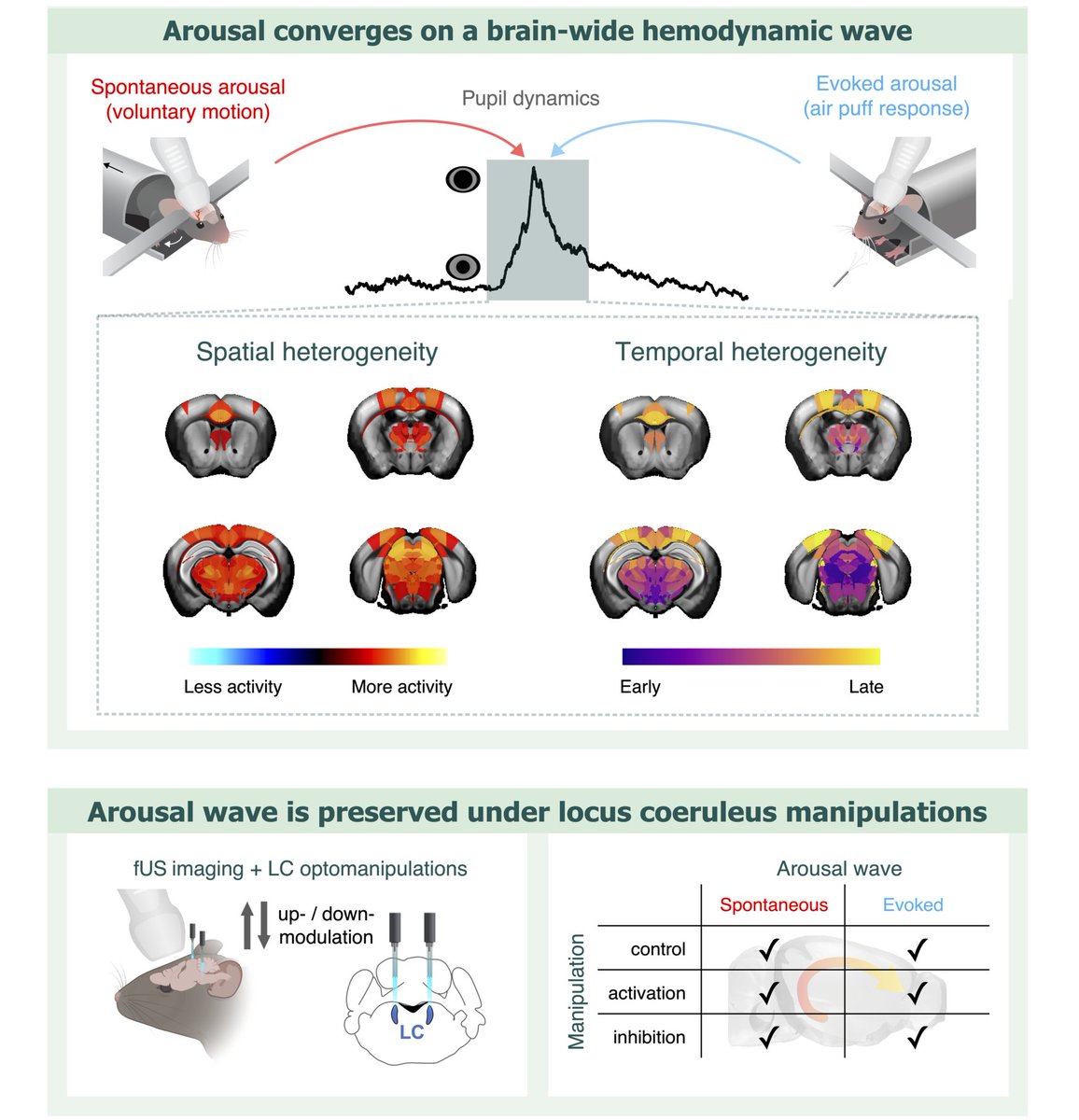 Emilie Mace tweet media