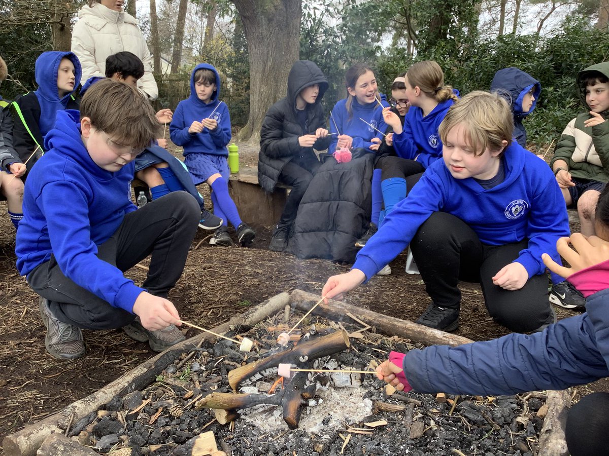 Year 6 tweet media
