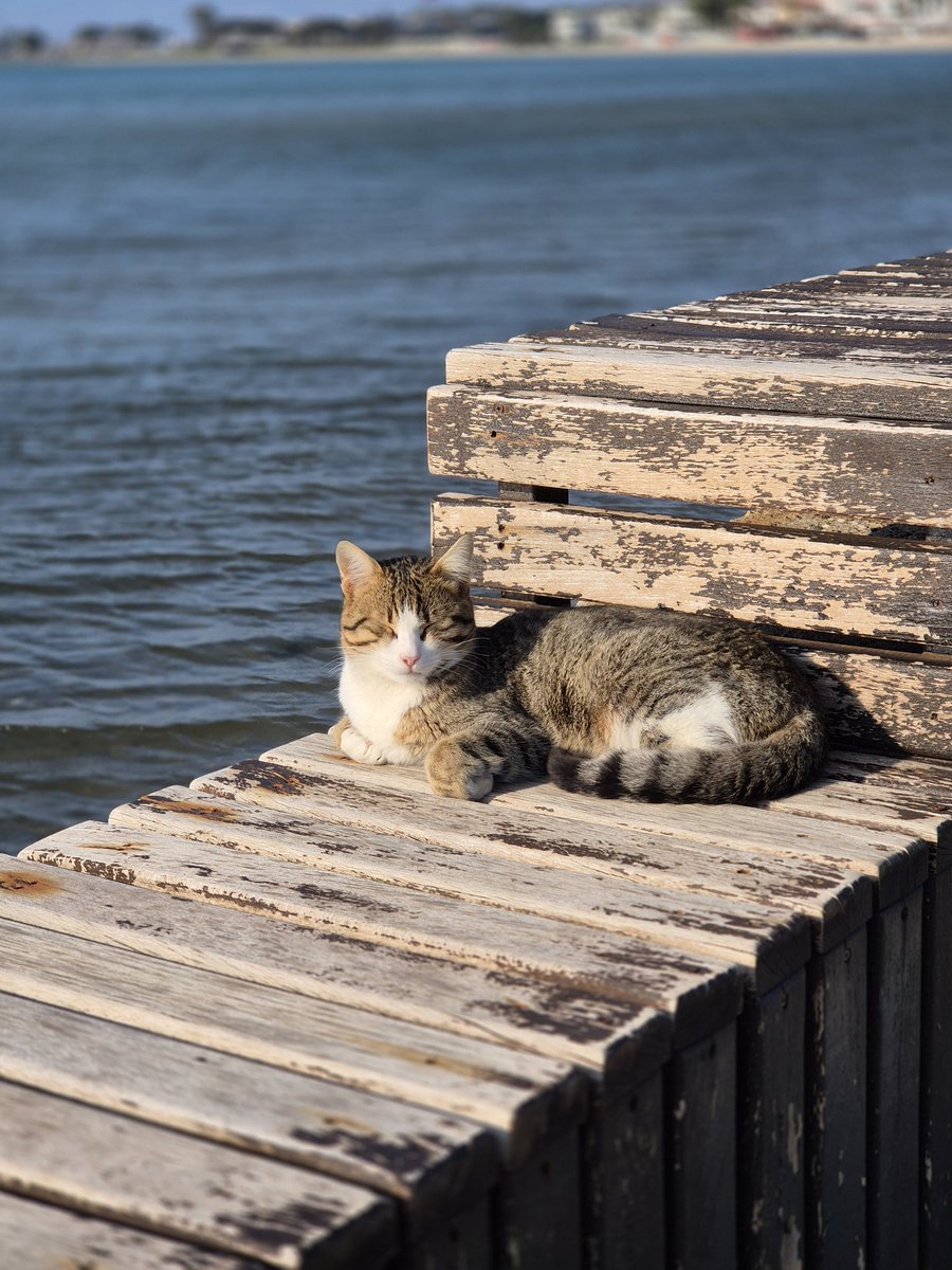 Bayram için izin alıp Manyas'dan Edremit'e geldim ve 1 haftalığına hayat böyle görünüyor. :)
