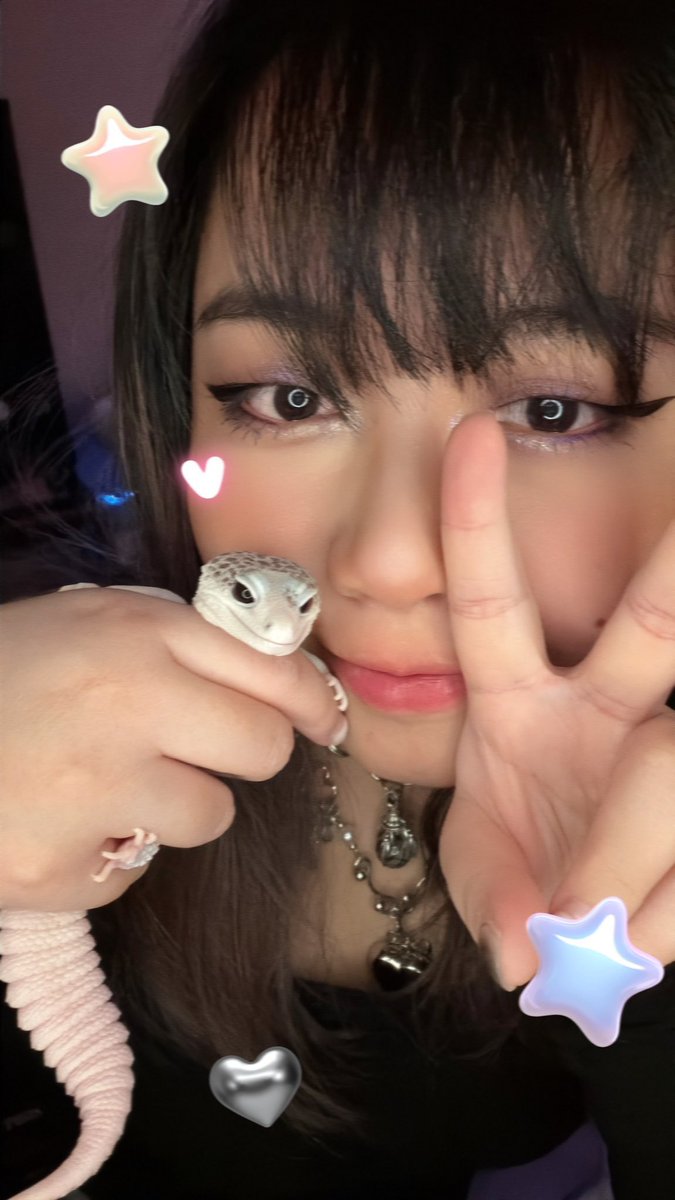 chrchie 🦎⭐️ lizard girl tweet media