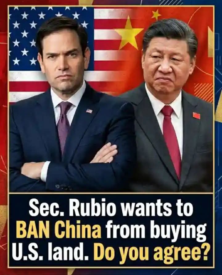 Mr. Star Spangled MAGA tweet media