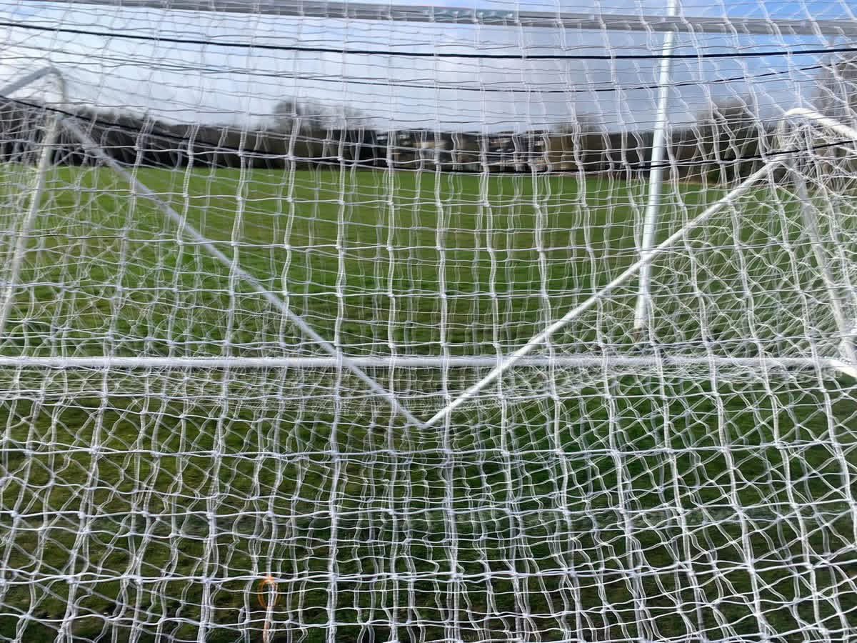 Grassroots tweet media